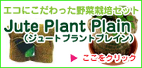 お手軽家庭菜園スターターキット