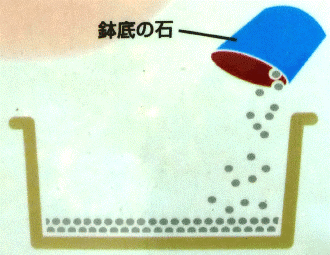 1.プランターに鉢底の石を敷きます。