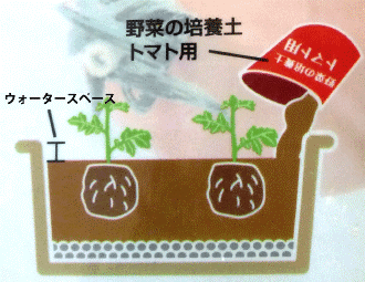 3.ウォータースペースを考え、苗を植え付けます。