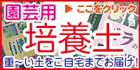 �ƒ�؉��E���|�p�|�{�y