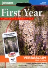 ���@�[�o�X�J���E�t���b�V���E�I�u�E�z���C�g Verbascum phoeniceum Flush of White