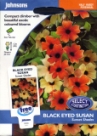 �c���x���M�A�E�T���Z�b�g�E�V�F�C�h Thunbergia (BLACK EYED SUSAN) arata Sunset Shades