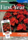 ���N�j�X�E�����e���E�����@ Lychnis haagaeana Molten Lava