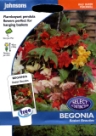 �x�S�j�A�E�o�X�P�b�g���r���[�e�B Begonia Basket & Beauty