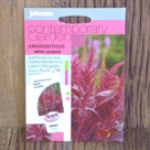 �A�}�����T�X�E�x���x�b�g�E�J�[�e�� Amaranthus Velvet Curtains