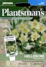 �w���{�[���X�E�j�Q���i�N���X�}�X���[�Y�j Helleborus niger = Chistmas Rose