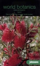 �J���X�e�����E���M�_�X Callistemon rigidus