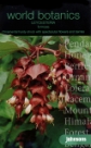 ���C�V�F�X�e���A�E�t�H�����[�T Leycesteria formosa