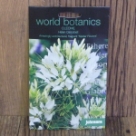 �N���I���E�w�����E�L�����x�� Cleome Helen Campbell