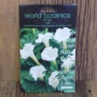 �_�c���E���e�� Datura Metel