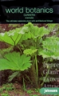 �O���l�G���E�}�j�J�[�^ Gunnera manicata