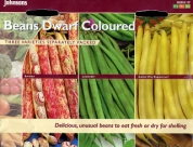 �R���N�V�����E�r�[���Y�E�h���[�t�E�J���[�h Collection Beans Dwarf Coloured