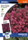 �_�C�A�V�A�E�s���N�E�N�C�[�� Diascia Pink Queen