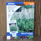 �j�R�`�A�i�E�V���x�X�g���X Nicotiana sylvestris