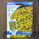 �A���b�T���E�T�N�T�e�C���E�S�[���h�E�_�X�g Alyssum saxatile Gold Dust