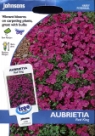 �I�[�u���G�`�A�E���b�h�E�L���O Aubrietia Red King