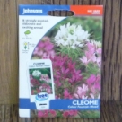 �N���I���E�J���[�E�t�@�E���e���E�~�b�N�X Cleome Colour Fountain Mix