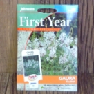 �K�E���E�U�E�u���C�h Gaura The Bride