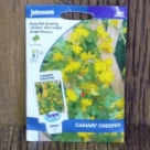 �L���i���[�E�N���[�p�[ Canary Creeper 