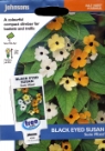 �c���x���M�A�E�X�[�W�[�E�~�b�N�X Thunbergia (BLACK EYED SUSAN) Susie Mixed