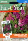 ���@�[�o�X�J���E�~�b�N�X Verbascum phoeniceum Mixed