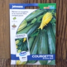 �R���W�F�b�g�i�X�N���b�V���j�E�I�[���E�O���[���E�u�b�V�� Courgette All Green Bush 