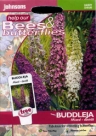 �u�b�f���A�E�_���B�f�B�E�~�b�N�X Buddleja davidii Mixed