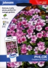 �t���b�N�X�E�N�����x���[���N���[�� Phlox Cranberry & Cream