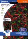 ���h�L�g���E�p�[�v���E�u���[�E���F�C�� Rhodochiton Purple Blue Vine.