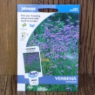 �o�[�x�i�E�{�i���G���V�X�E�p�[�v���E�g�b�v Verbena bonariensis Purple Top