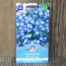 �l���t�B���E�x�r�[�E�u���[�A�C�Y Nemophila Baby Blue Eyes
