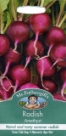 ラディッシュ・アメジスト Radish Amethyst
