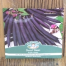 �h���[�t�E�r�[���E�p�[�v���E�N�B�[�� Dwarf Bean Purple Queen