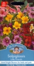 �T���s�O���b�V�X�E���g���E�t�����Y Salpiglossis Little Friends