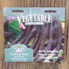 �N���C�~���O�E�r�[���i�C���Q���}���j�E���@�C�I���b�g�E�|�h�b�h Climbing Bean Violet Podded