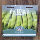 �h���[�t�E�r�[���E���[�}�E II Dwarf Bean Roma II (Flat podded)