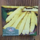 �h���[�t�E�r�[���E�J�s�^�[�m Dwarf Beans Capitano