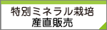 �Y���̔�