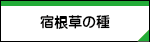 �h�����̎�