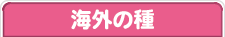 �C�O�̎�