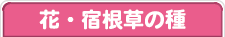 �ԁE�h�����̎�