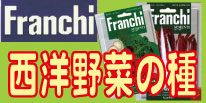Franchi�Ё@���m��؂̎�