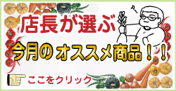 今月のオススメ商品