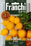 ���f�B�b�V�� RADISH ZRATA(GOLDEN RADISH)�iNo.03�j