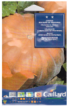 �N���[�W���i��J�{�`���j MUSQUEE DE PROVENCE  (No.12500)