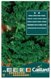 �p�Z�� FRISE' VERT FONCE'  (No.14401)