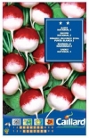 ���f�B�b�V�� NATIONAL 2  (No.15112)