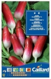 ���f�B�b�V�� FRENCH BREAKFAST 3  (No.15147)