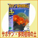 �m�C�I���z���n�T�{�e���E�����A���̓y�i5L�j