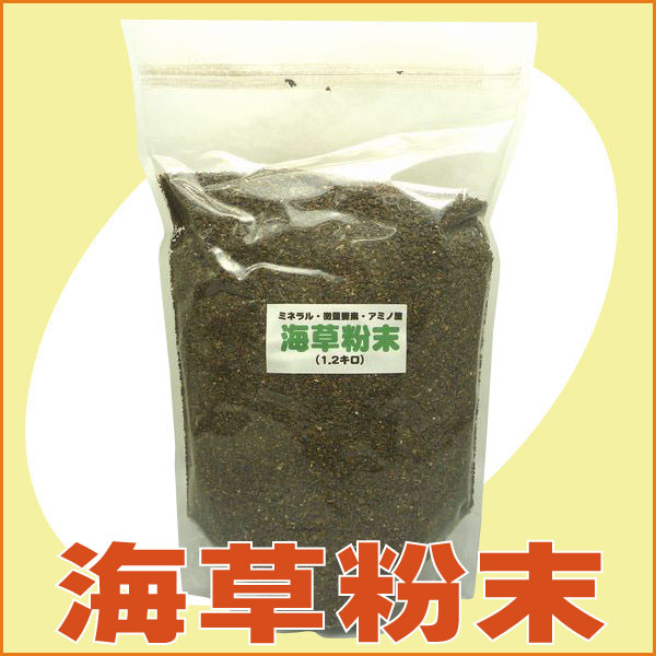 �C�������i1.2kg�j